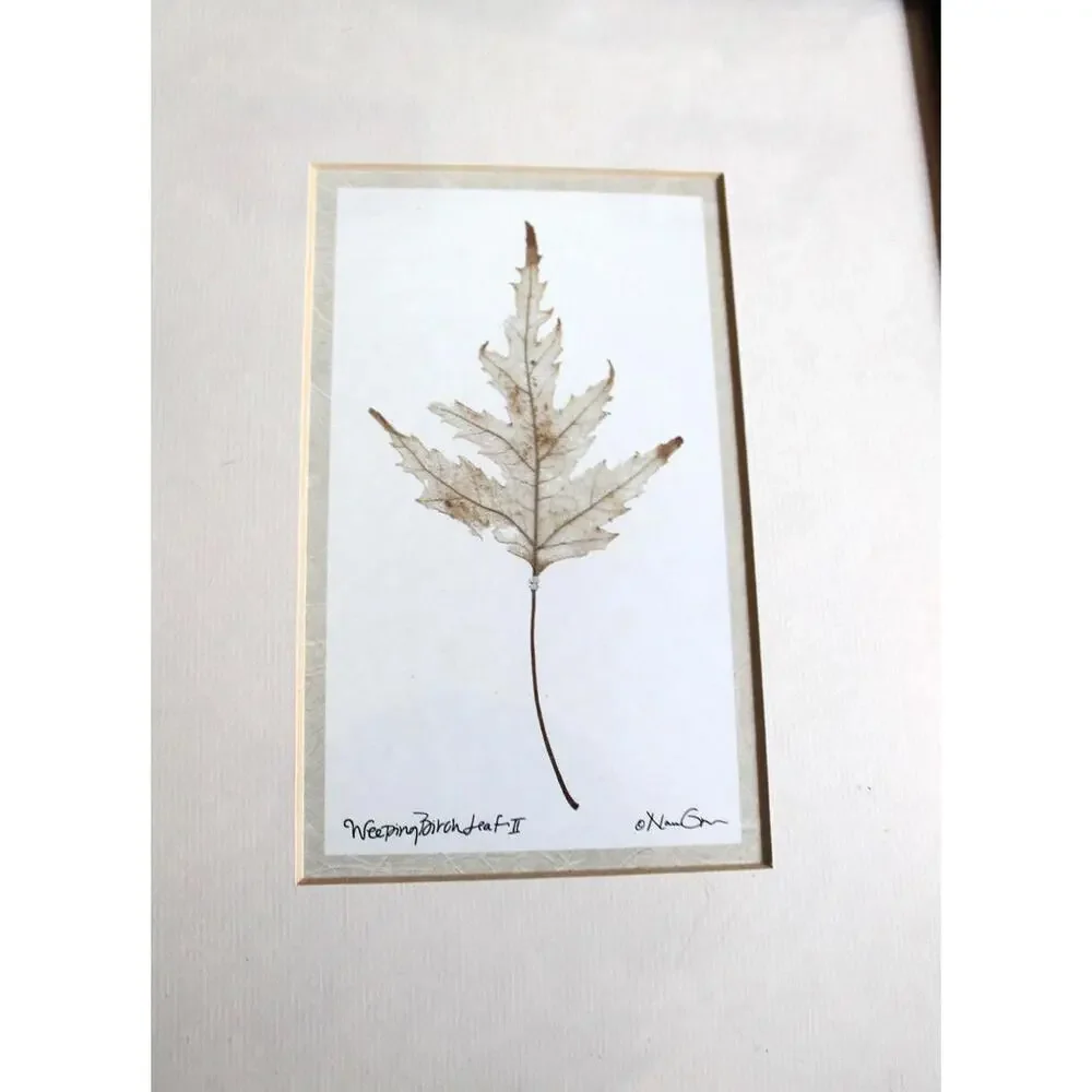 Framed Print by Nan Goss, 